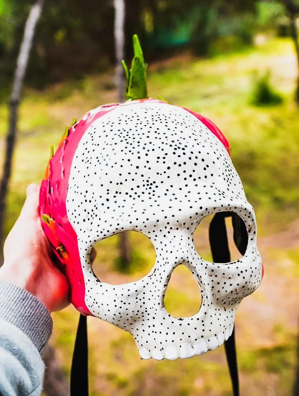 Máscara lista - Máscara de calavera Dragon Fruit estilo veneciano