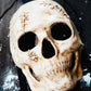 Skull scars full face mask venetian style