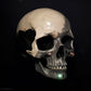 SPECIAL EDITION Shine and Elegance Venetian skull mask with glitter and precious stones. Only decoration mask, Not to wear