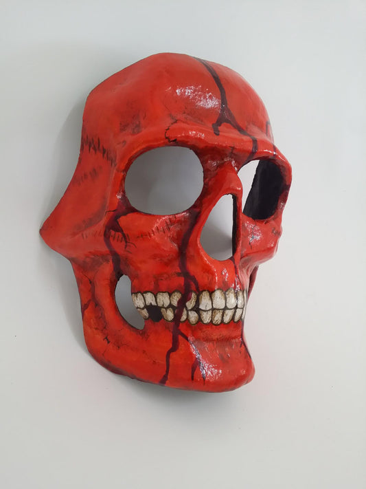 San Antonio skull